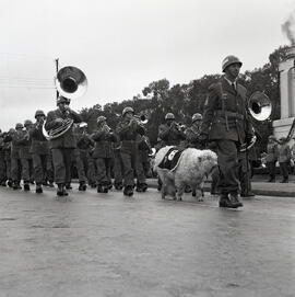 Desfile militar de Sete de Setembro