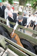 Germano Rigotto participa do lançamento da campanha de Vacinação contra Febre Aftosa em Eldorado do Sul. Autor: Ivan de Andrade