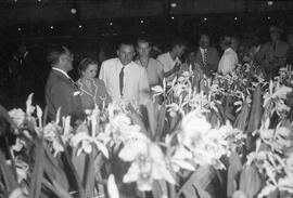 Inauguração da exposição de orquídeas no Parque Menino Deus