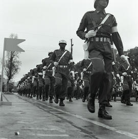 Desfile militar de Sete de Setembro