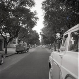 Rua Mariante - Bairro Rio Branco