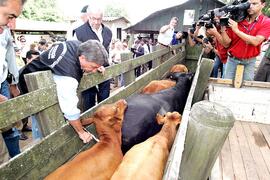 Germano Rigotto participa do lançamento da campanha de Vacinação contra Febre Aftosa em Eldorado do Sul. Autor: Ivan de Andrade