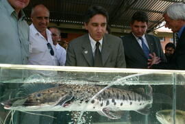 Imagem de Gabinete Germano Rigotto, dia 14/02/2003, horário 14:27. Autor: Nabor Goulart