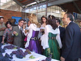 Germano Rigotto na abertura oficial da Festa da Vindima em Flores da Cunha. Autor: Ivan de Andrade