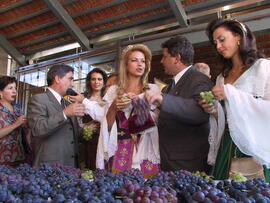 Germano Rigotto na abertura oficial da Festa da Vindima em Flores da Cunha. Autor: Ivan de Andrade