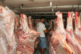 Vigilância Sanitária apreende carne bovina imprópria para consumo no Litoral Norte. Autor: Paulo Dias