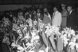 Inauguração da exposição de orquídeas no Parque Menino Deus