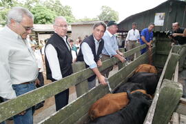 Germano Rigotto participa do lançamento da campanha de Vacinação contra Febre Aftosa em Eldorado do Sul. Autor: Ivan de Andrade