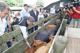 Germano Rigotto participa do lançamento da campanha de Vacinação contra Febre Aftosa em Eldorado do Sul. Autor: Ivan de Andrade