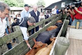 Germano Rigotto participa do lançamento da campanha de Vacinação contra Febre Aftosa em Eldorado do Sul. Autor: Ivan de Andrade