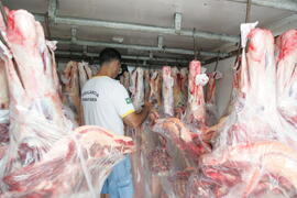 Vigilância Sanitária apreende carne bovina imprópria para consumo no Litoral Norte. Autor: Paulo Dias