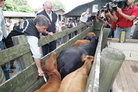 Germano Rigotto participa do lançamento da campanha de Vacinação contra Febre Aftosa em Eldorado do Sul. Autor: Ivan de Andrade