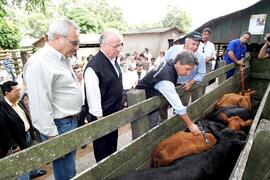 Germano Rigotto participa do lançamento da campanha de Vacinação contra Febre Aftosa em Eldorado do Sul. Autor: Ivan de Andrade