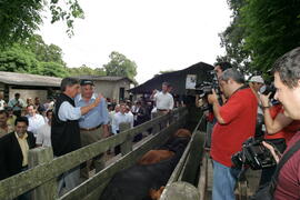 Germano Rigotto participa do lançamento da campanha de Vacinação contra Febre Aftosa em Eldorado do Sul. Autor: Ivan de Andrade