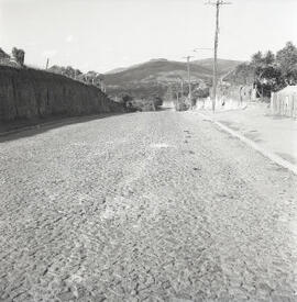 Avenida Otto Niemeyer - Bairro Tristeza