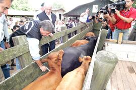 Germano Rigotto participa do lançamento da campanha de Vacinação contra Febre Aftosa em Eldorado do Sul. Autor: Ivan de Andrade