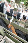 Germano Rigotto participa do lançamento da campanha de Vacinação contra Febre Aftosa em Eldorado do Sul. Autor: Ivan de Andrade