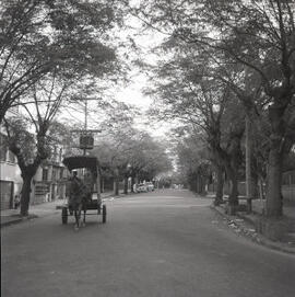 Rua Padre Chagas - Bairro Auxiliadora