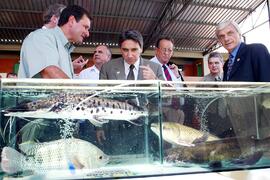 O governador do Estado Germano Rigotto durante feira em Nova Pádua. Autor: Nabor Goulart