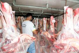 Vigilância Sanitária apreende carne bovina imprópria para consumo no Litoral Norte. Autor: Paulo Dias