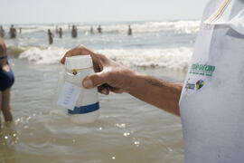 Boletim sobre as condições de balneabilidade em praias do litoral e balneários de água doce. Autor: Itamar Aguiar